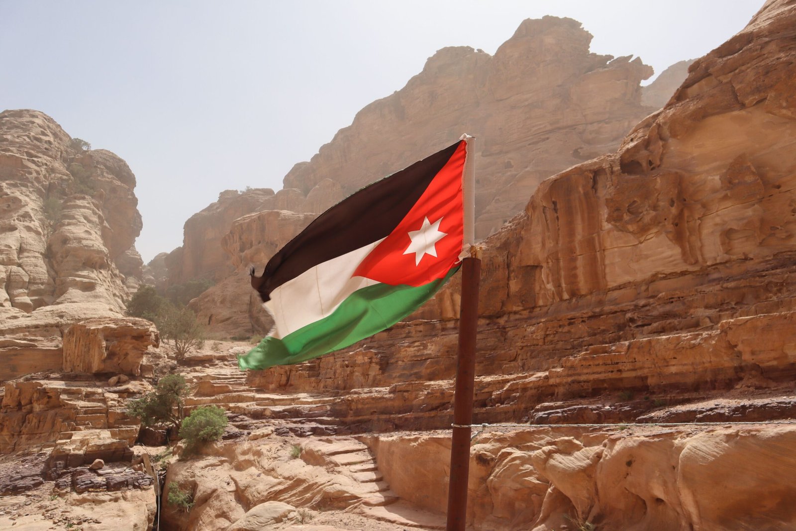 Jordan World Cup 2026 Squad Guide: Key Players, Tactics and Chances